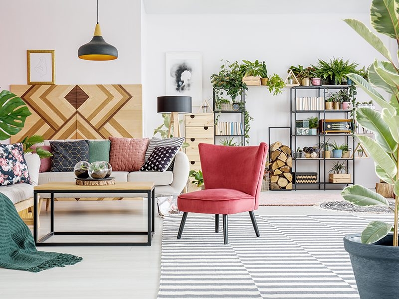 Incorporating houseplants into living space decor: Useful tips by one of the popular home decor stores